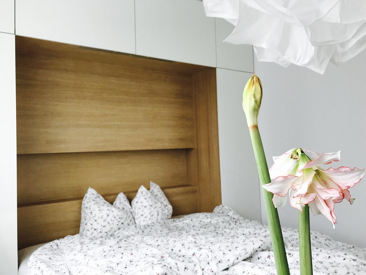 Design Apartment In Park صوفيا المظهر الخارجي الصورة